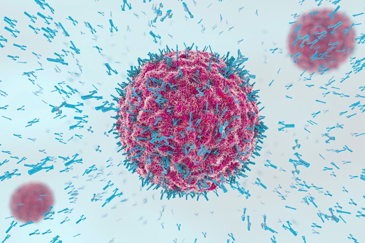 Come sfruttare l’immunità per curare il cancro