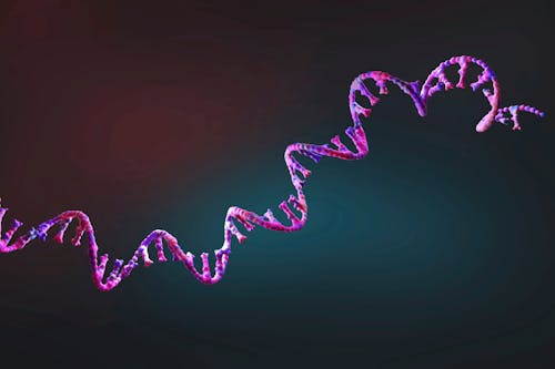 DNA circolare e sviluppo dei tumori: cosa sappiamo di nuovo