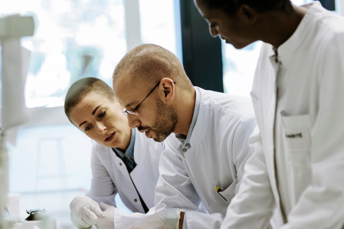 Bleach Scan Vf Fin Altermative Ddl La strategia antitumorale che colpisce forme alternative del DNA