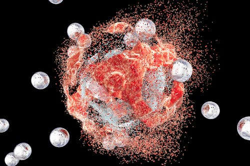 Nuove nanoparticelle di origine biologica per la lotta contro il cancro