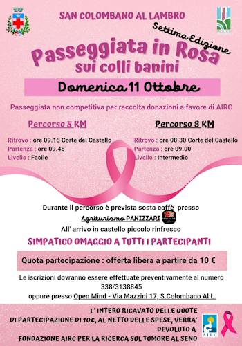 Chignolo in Rosa