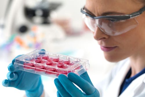 Tumori del sangue: cosa fare quando una neoplasia diventa invisibile alla terapia?