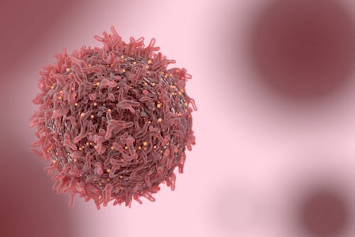 Un nuovo marcatore per predire la risposta del melanoma all'immunoterapia