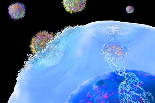 Cellule CAR-T contro le resistenze ai farmaci nei tumori solidi
