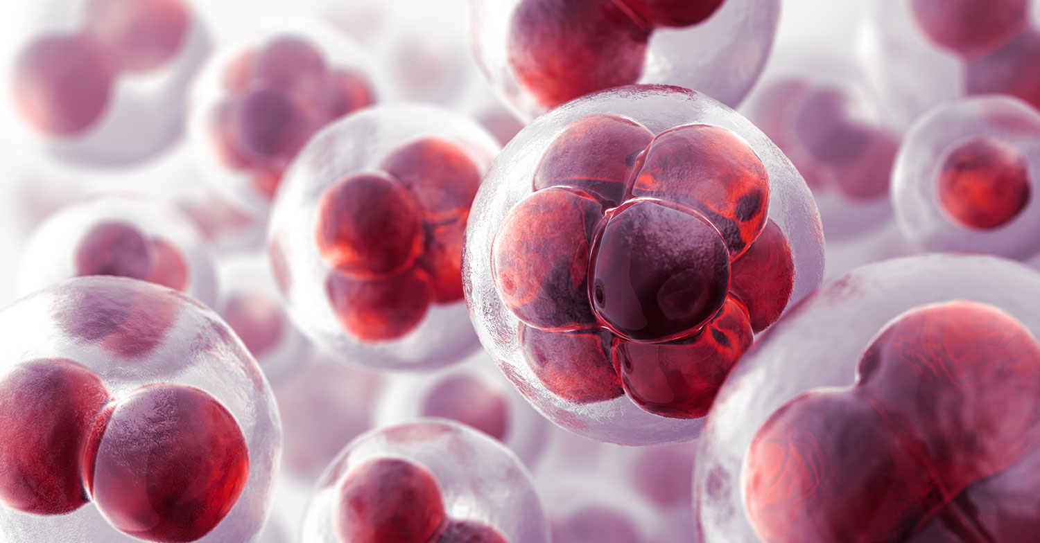 Ecco come la cellula mette il freno alla duplicazione eccessiva