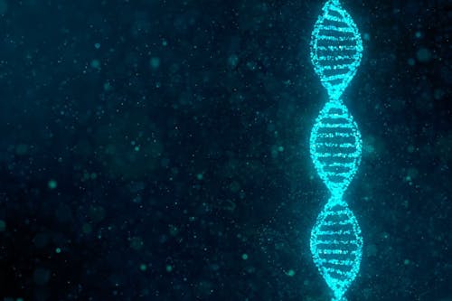 Dal genoma umano a quello del cancro