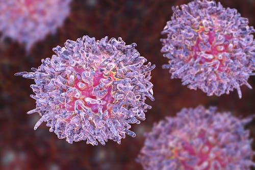 La strada verso la cura della leucemia a cellule capellute