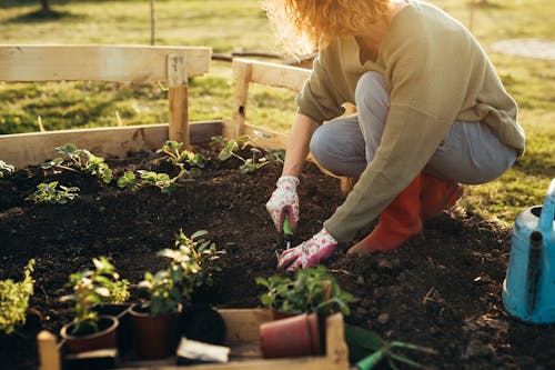 Anche darsi al giardinaggio può aiutare a prevenire i tumori