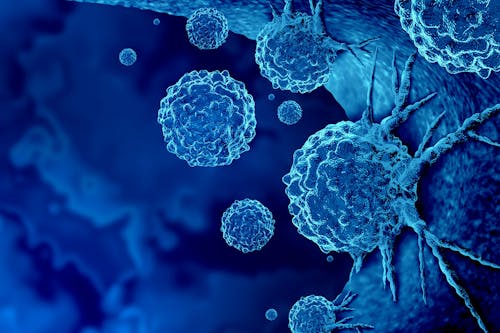 La proteina Morgana, un nuovo bersaglio contro i tumori, che potrebbe contribuire a rendere più efficace l'immunoterapia