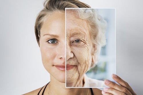 Tessuti meno tesi e più lassi favoriscono l’invecchiamento, uno dei principali fattori di rischio del cancro