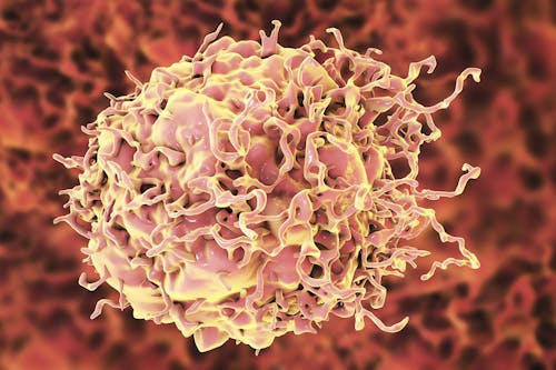 Cancro del colon-retto: chiarito uno dei meccanismi di resistenza alle terapie