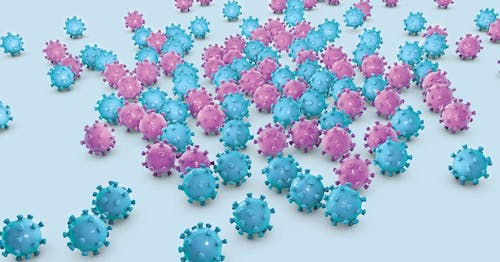 HPV e cancro, un problema non solo femminile